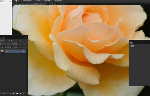 Photoshop抓手工具使用技巧详解
