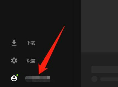 Epic客户端设置界面