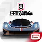 狂野飙车9免验证畅玩版无限金币全解锁v4.1.0r 内购免费版