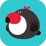 犀鸟好前途公考备考利器推荐v5.8.3 最新版