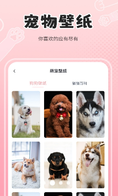 多宠物支持示意图