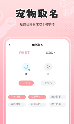 训练功能演示