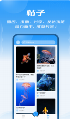 u95eeu9c7ciosu7248appu4e0bu8f7d