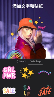 videoleapu4e2du6587u7248