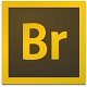 Adobe Bridge高效管理图像文件免费版