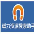 磁力资源搜索助手必备v24.10.24