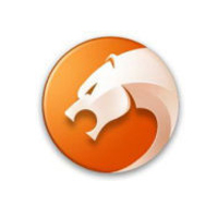 猎豹极速安全双核浏览器全新v9.0.112.22581