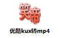 优酷视频格式转换工具